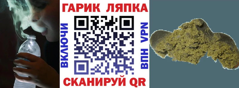 Купить где  Шумиха  ГАШ гарик 