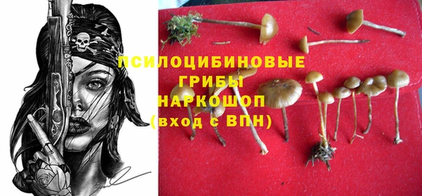 кокаин Заводоуковск