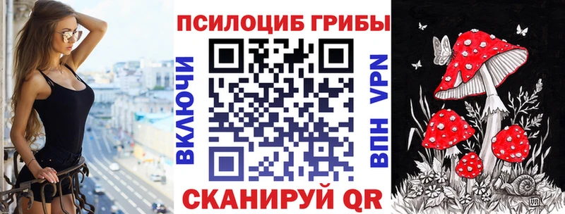 Галлюциногенные грибы MAGIC MUSHROOMS  Купить закладки  Шумиха 